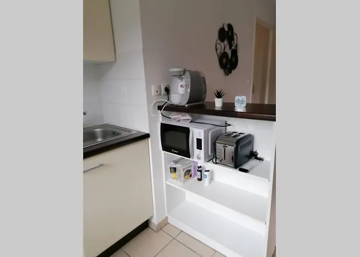 T2 Entier - Hyper Centre - Cosy Appartamento