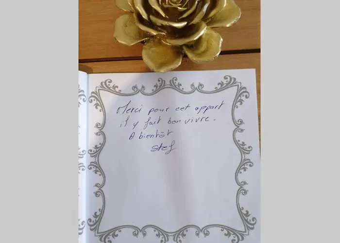 Appartamento T2 Entier - Hyper Centre - Cosy *